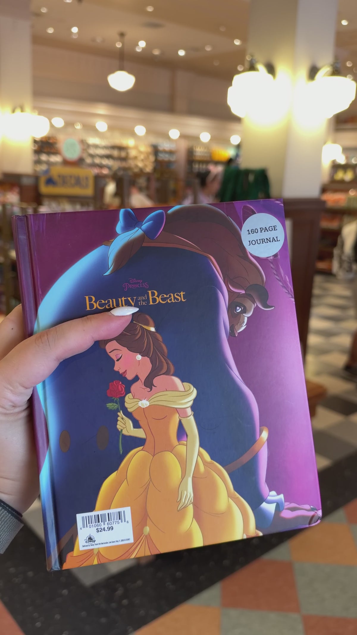 Cinderella and Belle Notebook